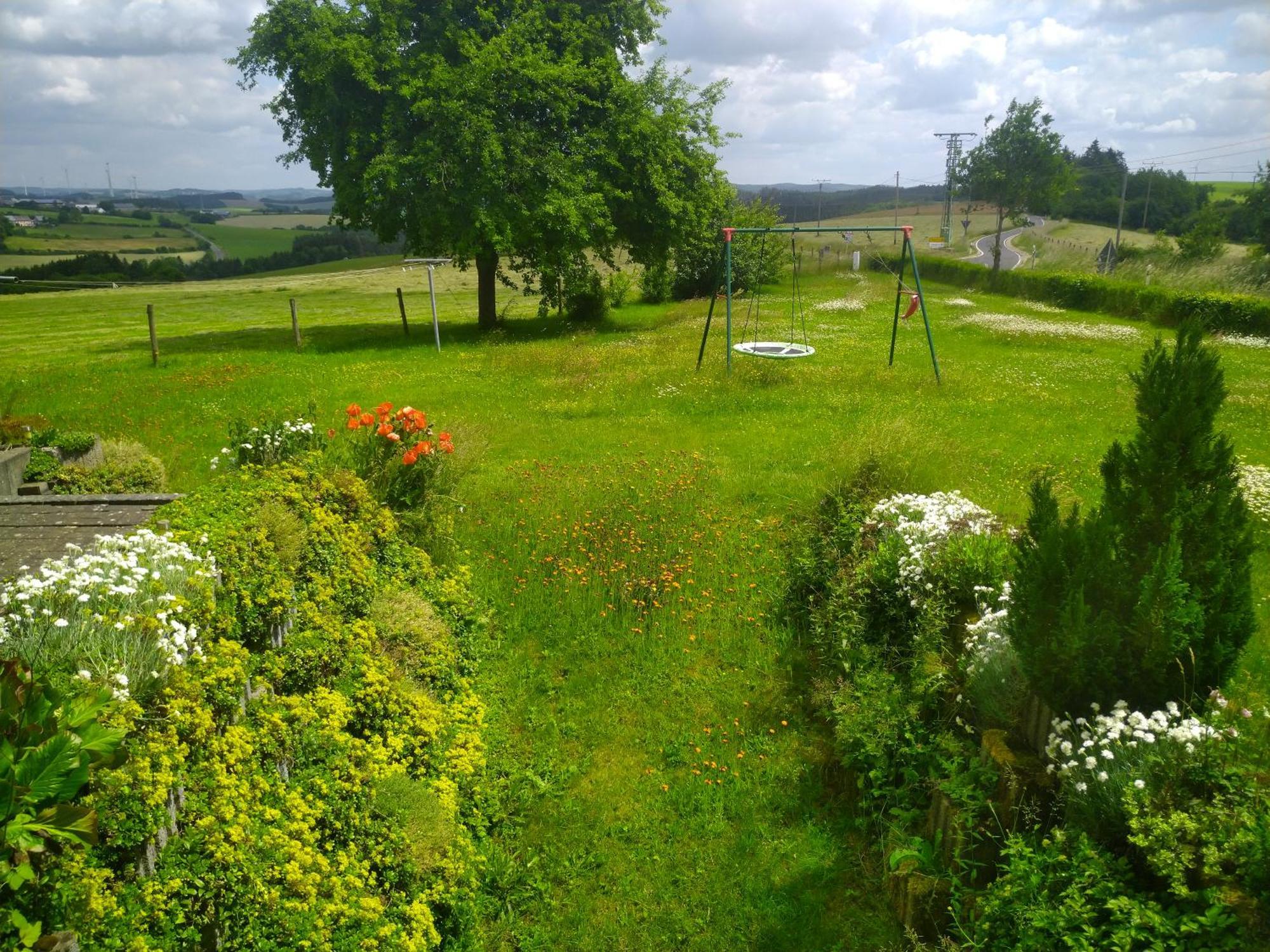 EuscheidUrlaub Mit Hund Auf Dem Bauernhof Hofswald公寓 外观 照片