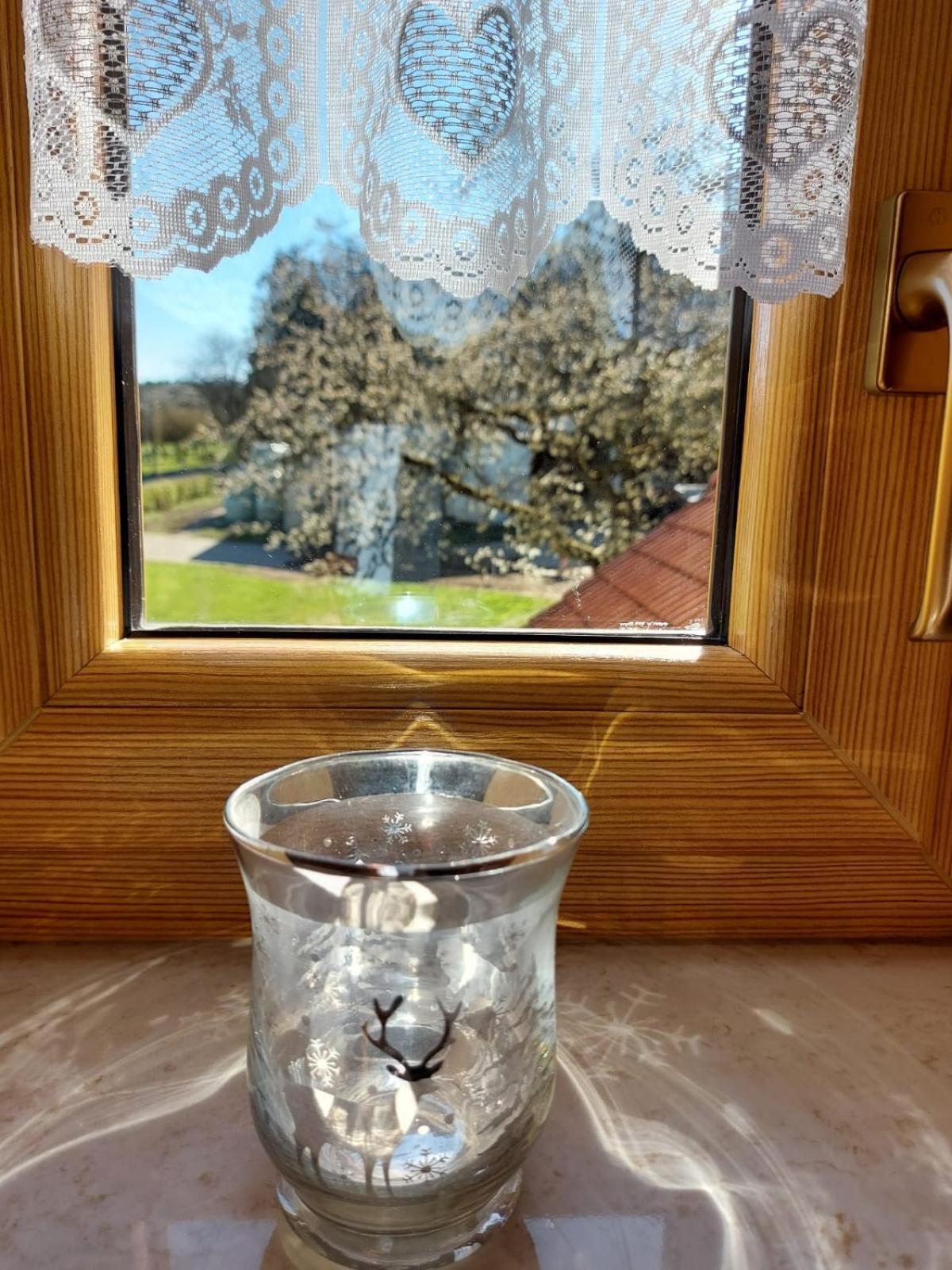 EuscheidUrlaub Mit Hund Auf Dem Bauernhof Hofswald公寓 外观 照片